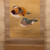 Vintage Japanese Kakejiku Hanging Scroll, Mandarin Ducks and Pine, Mid-Showa 1946-1965 | SKU: 26J-0555 - 2