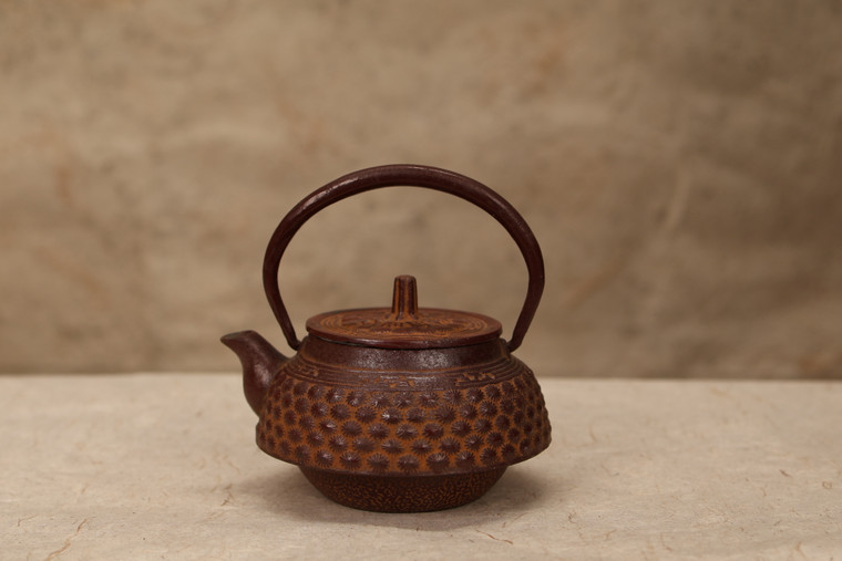 Vintage Japanese Tetsubin Iron Kettle (24A-132-2)