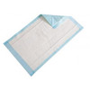 APCI UPSMD1724 Disposable Underpads, Blue Bed Pad 17" x 24", 60x5's