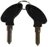 Spare Set of Keys (Sport)