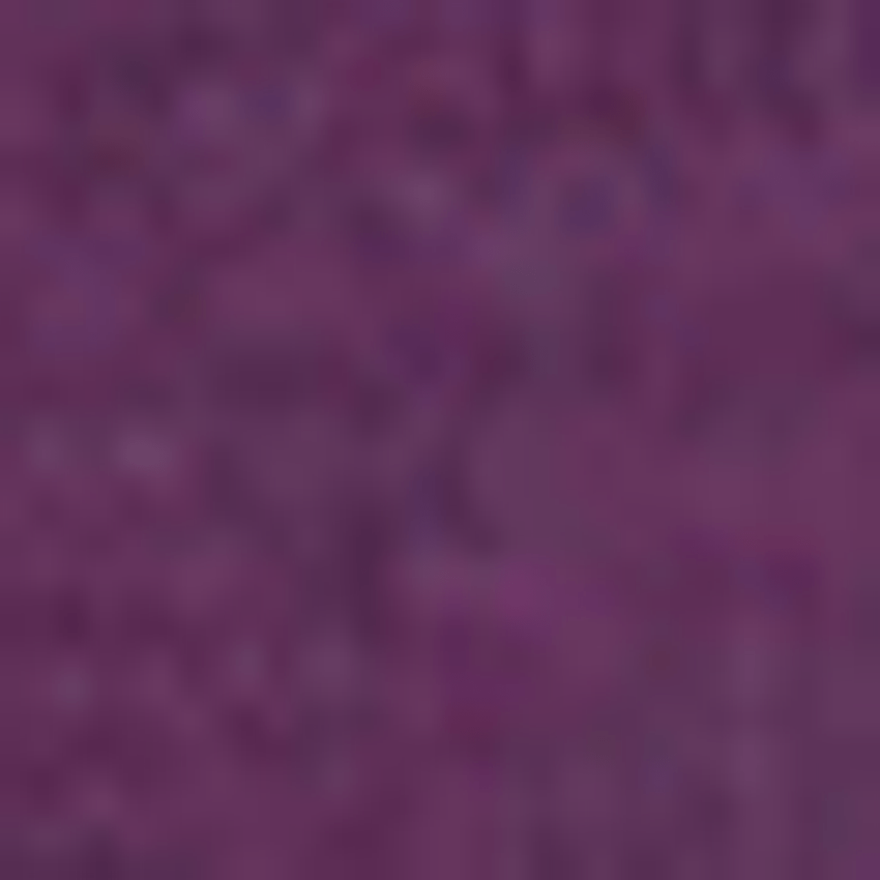 Silvert's 132602502 Women's Cardigan Sweater With Pockets, Size Small, GRAPE