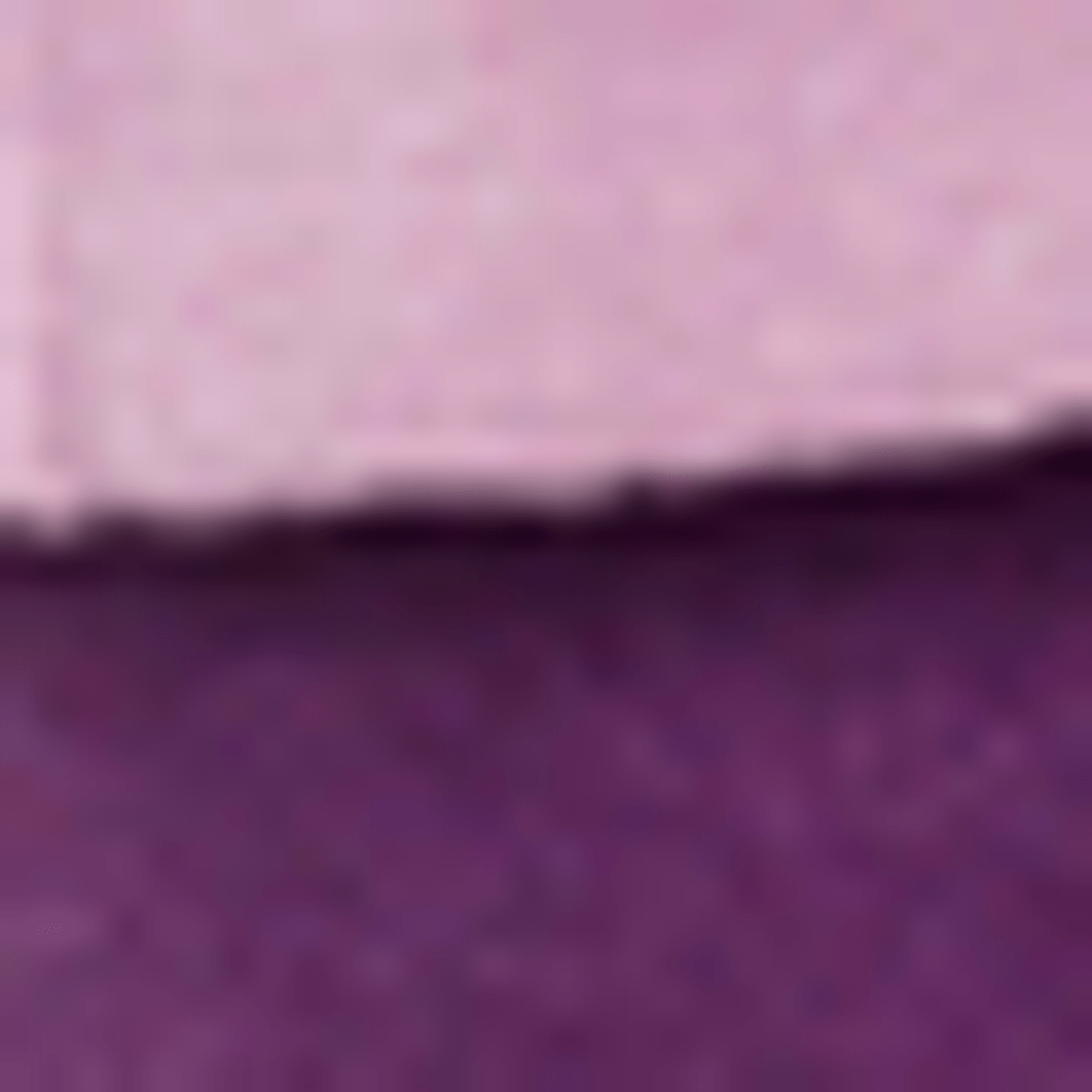 Silvert's 248600303 Women's Adaptive Tracksuit Set / Sweat Suits, Size Large, MAUVE/GRAPE