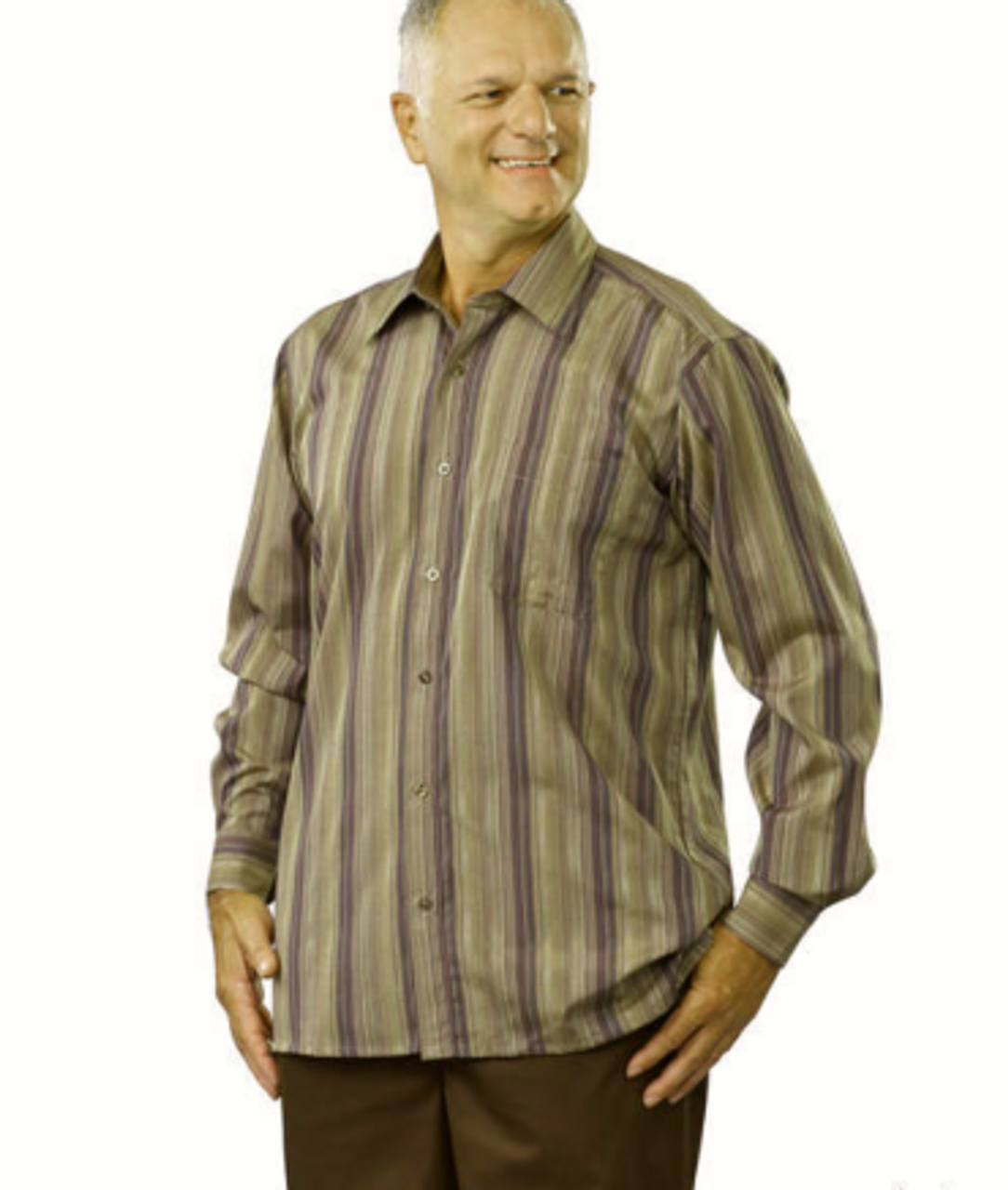 Silvert's 504030603 Men's Conventional Sport Shirt , Size Large, BEIGE STRIPE (Silvert's 504030603)