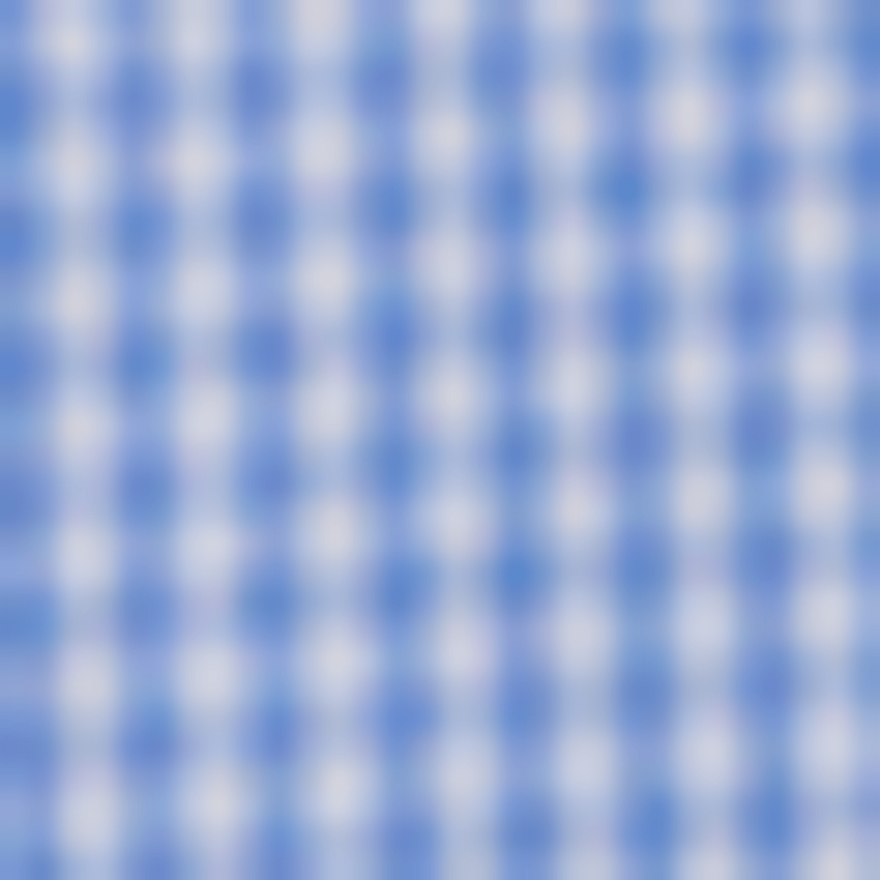 Silvert's 241000604 Cotton Adaptive Back Snap Blouses For Women, Size X-Large, VIVID BLUE