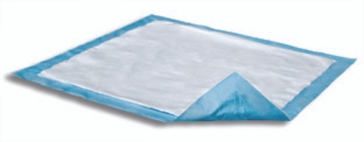 Attends DRI-SORB 31925 UFS-170 UNDERPAD DISPOSABLE 17x24in P54 LIGHT ABS BLUE CA/30x10s
