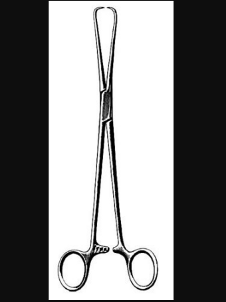 Sklar-564-410 FORCEPS TENACULUM SCHROEDER 9.75in STR S/S O/R