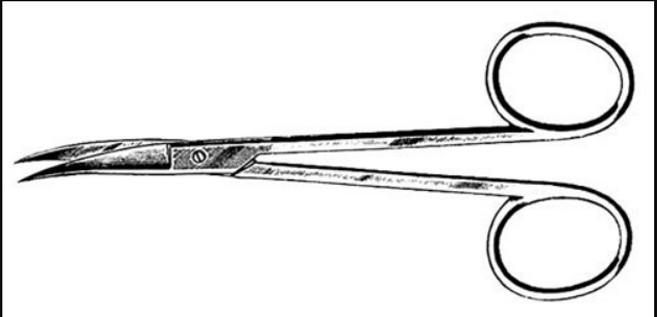 AMG-570-212 SCISSORS IRIS 4.5in CVD S/S WARD