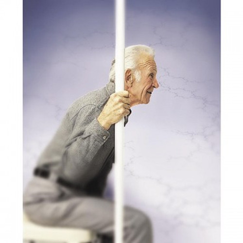 Medline G98120P GUARDIAN SAFE-T POLE, POLE ONLY