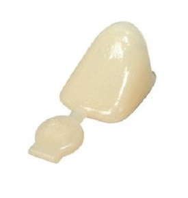 3MD-P10 3m Espe Polycarbonate Crown Forms (5/Bx)