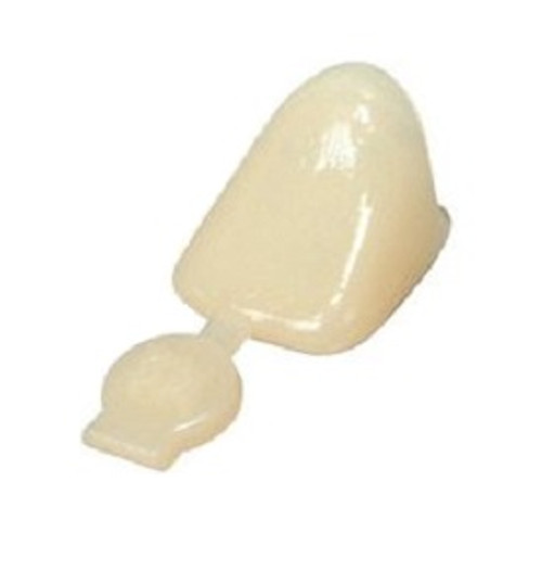 3MD-P52 3m Espe Polycarbonate Crown Forms (5/Bx) 3MD-P52 3m Espe Polycarbonate Crown Forms (5/Bx)