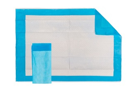 Alliance Medical - AHP 1341 - CS/300 UNDERPAD FLUFF-FILLED W/ POLYMER (17" x 24") DISPOSABLE