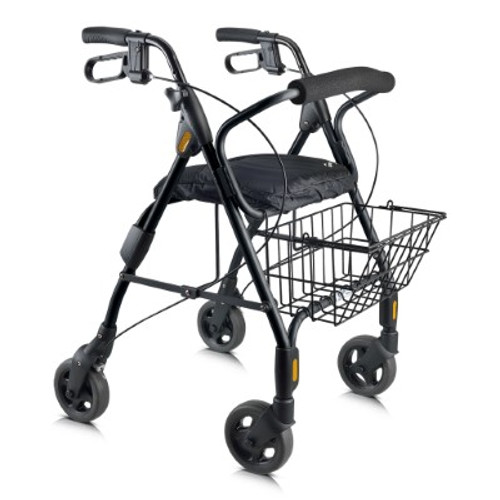 Evolution Sprite Black Mini