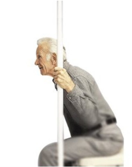 G98120 Pole Safety - Floor to Ceiling