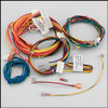 Raypak RP2100 Capron Heater IID Wire Harness (#006738F)