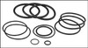 Jandy Filter O-Ring Replacement Kit (#R0358000)