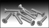 Hayward Skimmer Hilo Face Plate Screw Set (Set Of 10) (#SPX1030Z1C)