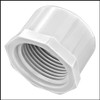 Lasco 1" Threaded Cap FPT (#448-010)