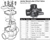 Jandy 2" To 2-1/2" Never Lube 2 Port Valve (#4716)