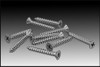 JACUZZI 14-4383-03-R NICHE SCREWS LIGHT NICHE FACE RING SCREW KT