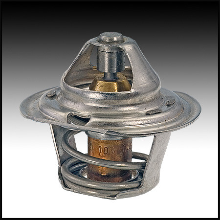 Raypak Unitherm Governor For 53A Heater (#600885)