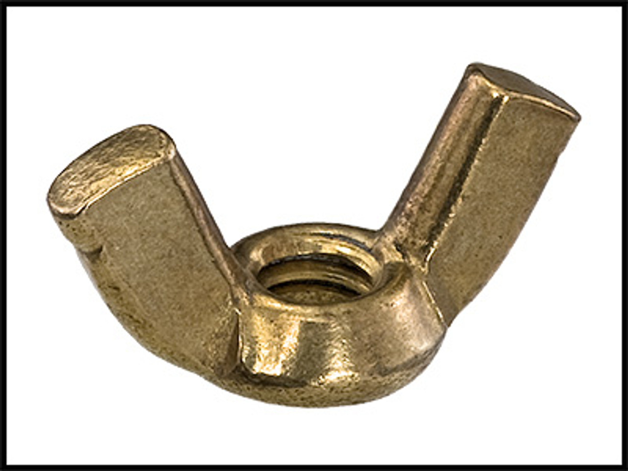 Sta-Rite 1/4"-20 Brass Wing Nut Manifold For DES Series Filters (#35402-0074Z)