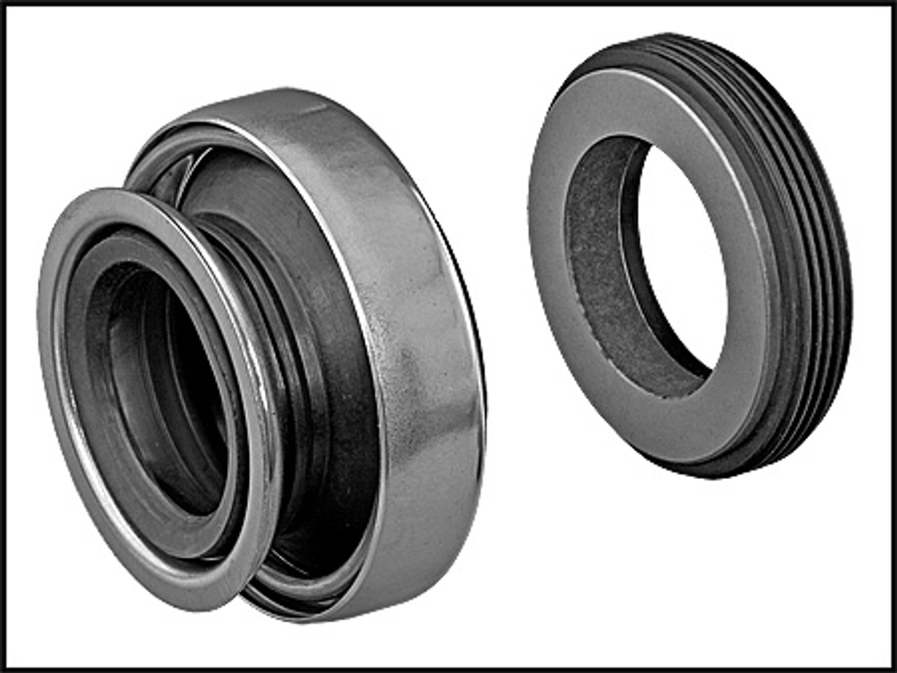 U.S. Seal MFG Corp. Value Guard Pump Seal For 20mm Speck