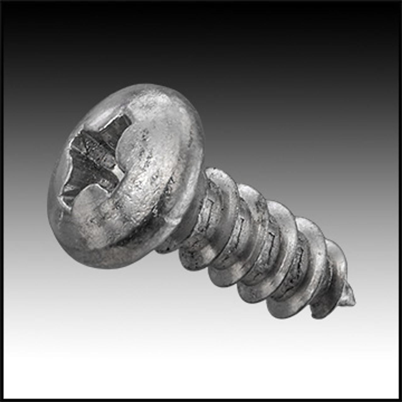 Pentair/PacFab 8 X 1/2" Stainless Steel Screw (#516243)