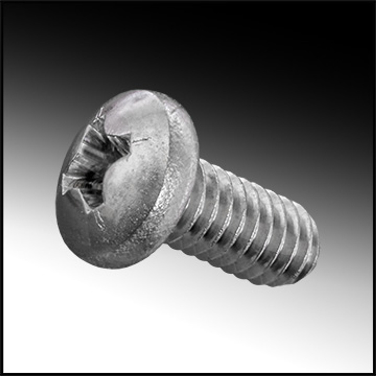 Pentair/American Aqualuminator Pool Light Sealing Screw (#78881400)