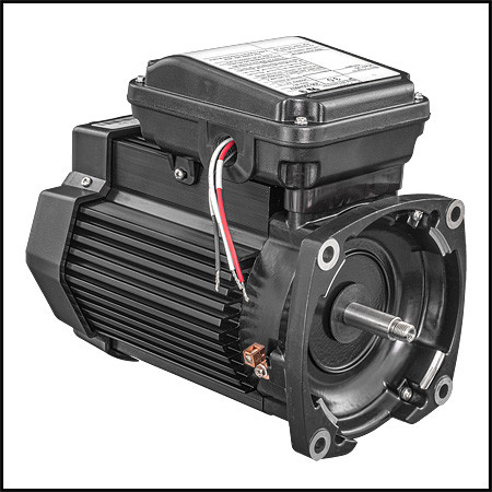 PENTAIR 354812S MOTOR-SQ FL TEFC 3 HP 3 PHASE FOR CHALLENGER BLACK