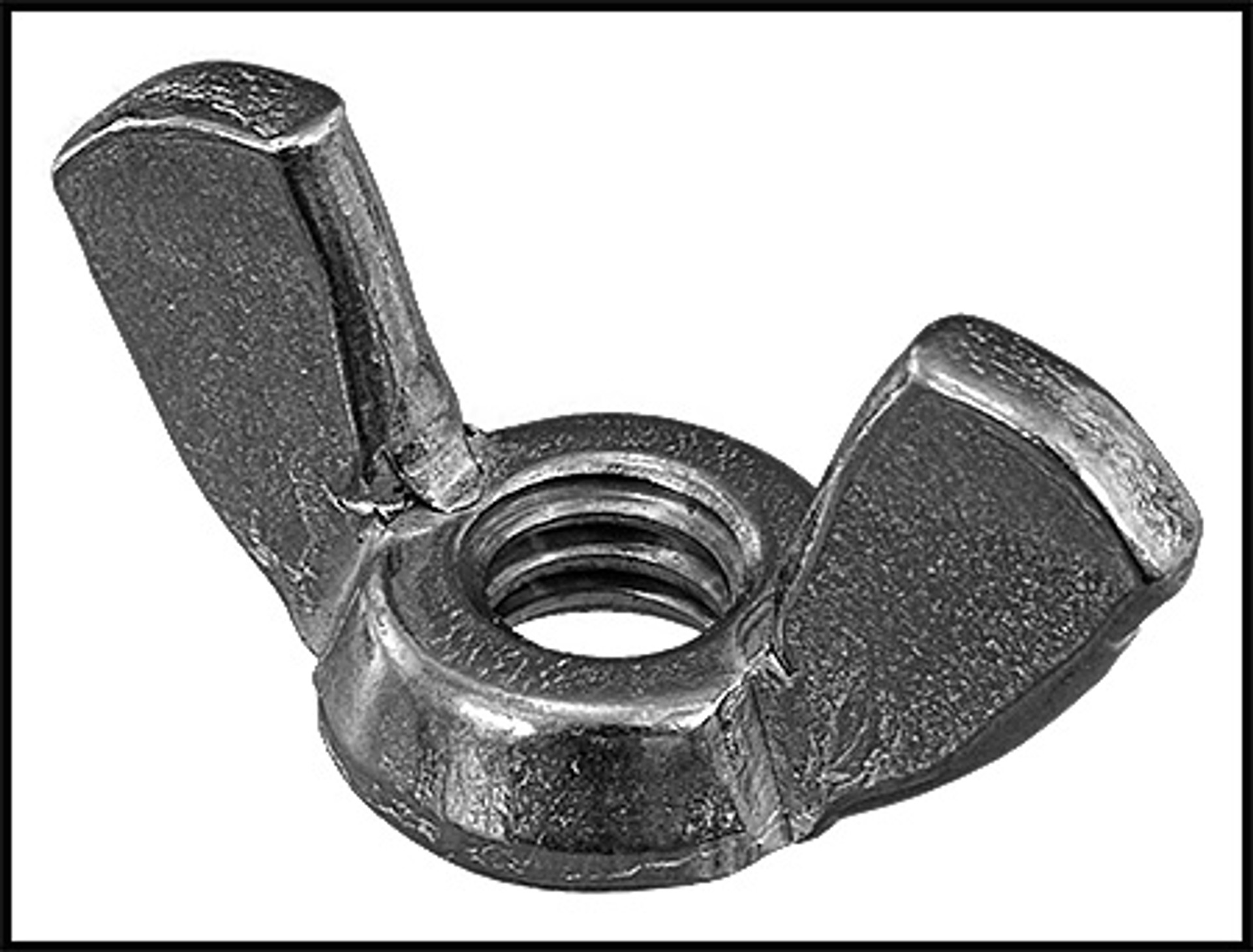 Pentair 1/4" 20 Stainless Steel Wing Nut (071404Z)
