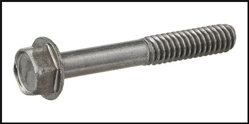 Hayward 1/4"- 20 X 1 3/4" Hex Head Bolt (#ECX1642215)