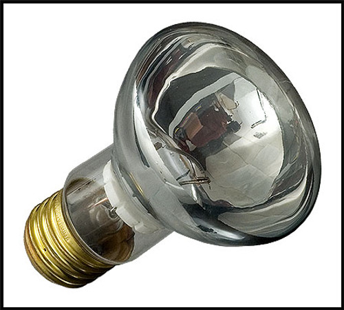 Pentair SpaBrite/AquaBrite 100W 12V Medium Bass Flood Light Bulb (#79108100)