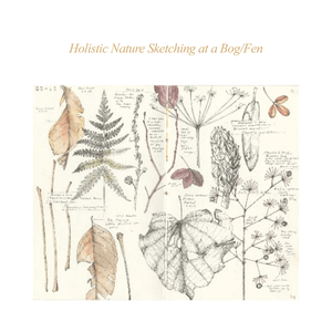  ASBA 2025 - Lara Call Gastinger and Tara Perron - Holistic Nature Sketching at a Bog/Fen 