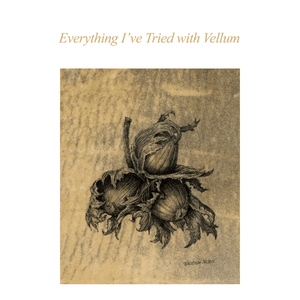  ASBA 2025 - Denise Walser-Kolar - Everything I’ve Tried with Vellum 