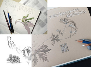  Letters Cali Style 2026 - Drawing and Lettering Sketchbook - Kristen Doty 