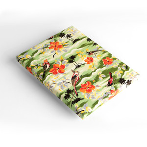 The Pepin Press Artists' Creative and Gift Paper Book, Fanciful Nature 