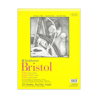 Strathmore 300 Series Bristol Paper, Vellum Finish