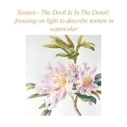 ASBA 2025 - Mary Dillon - Texture: The Devil Is In The Detail ASBA 2025 - Mary Dillon - Texture: The Devil Is In The Detail