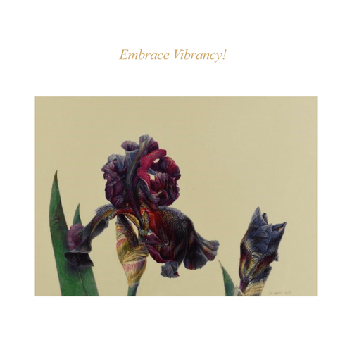 ASBA 2025 - Jean Emmons - Embrace Vibrancy! ASBA 2025 - Jean Emmons - Embrace Vibrancy!