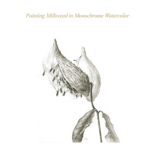 ASBA 2025 - Lara Call Gastinger - Painting Milkweed in Monochrome Watercolor ASBA 2025 - Lara Call Gastinger - Painting Milkweed in Monochrome Watercolor
