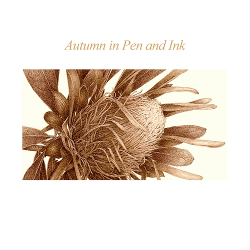 ASBA 2025 - Vincent Jeannerot - Autumn in Pen and Ink ASBA 2025 - Vincent Jeannerot - Autumn in Pen and Ink