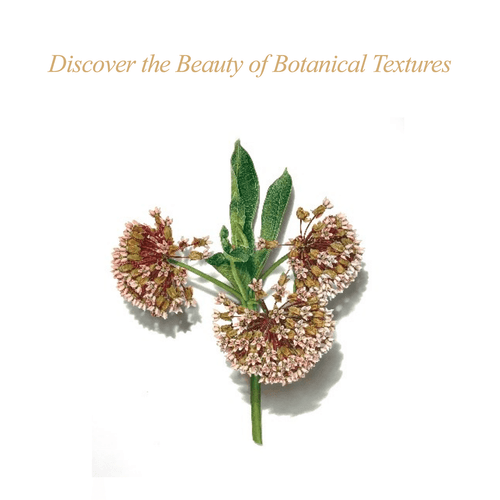 ASBA 2025 - David Morrison - Discover the Beauty of Botanical Textures ASBA 2025 - David Morrison - Discover the Beauty of Botanical Textures