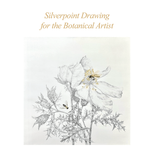 ASBA 2025 - Donnett Vanek - Silverpoint Drawing for the Botanical Artist ASBA 2025 - Donnett Vanek - Silverpoint Drawing for the Botanical Artist