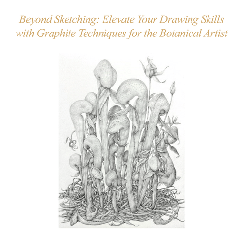 ASBA 2025 - Donnett Vanek - Beyond Sketching: Elevate Your Drawing Skills with Graphite Techniques for the Botanical Artist ASBA 2025 - Donnett Vanek - Beyond Sketching: Elevate Your Drawing Skills with Graphite Techniques for the Botanical Artist