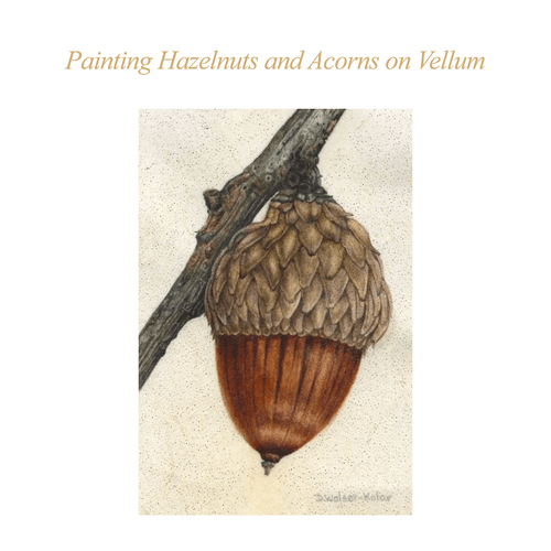 ASBA 2025 - Denise Walser-Kolar - Painting Hazelnuts and Acorns on Vellum ASBA 2025 - Denise Walser-Kolar - Painting Hazelnuts and Acorns on Vellum