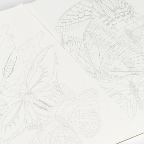 The Pepin Press Artists' Deluxe Coloring Book, Butterflies 