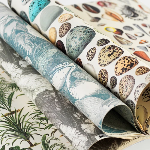 The Pepin Press Artists' Creative and Gift Paper Book, Natural History 