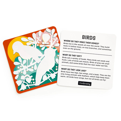 Mudpuppy Color Magic Water-Reveal Kit: Woodland Friends 