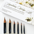 Signature Wedge Brush Set by inkmethis x Jen Sweeney