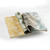 The Pepin Press Artists' Creative and Gift Paper Book, Natural History 